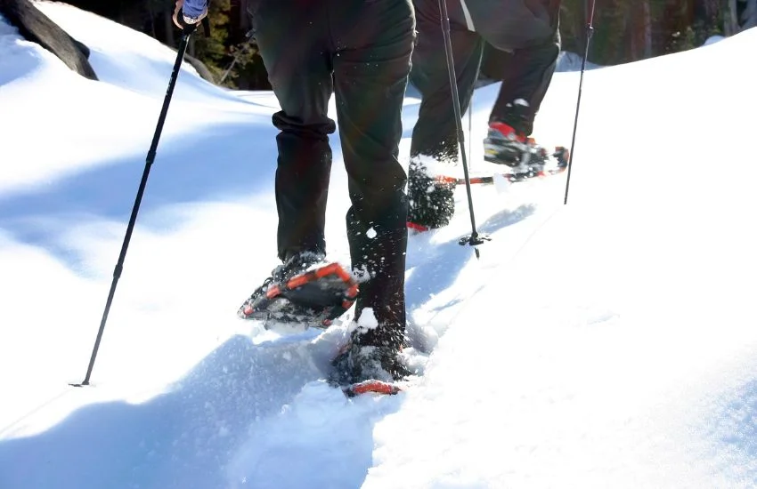 Raquetas de nieve en el Pirineo guía completa y consejos